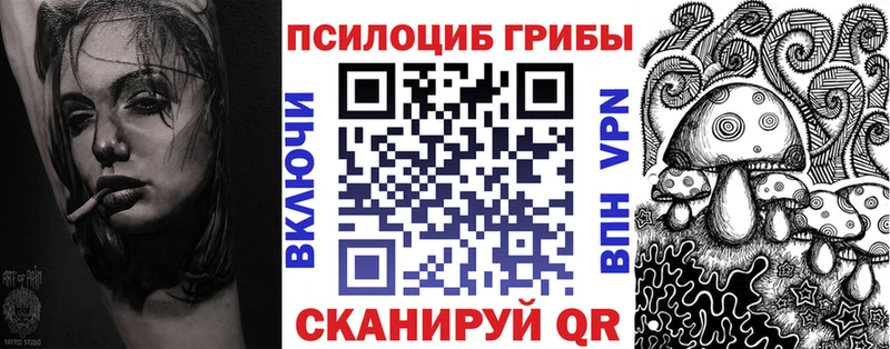 Купить закладки Заинск Галлюциногенные грибы Magic Shrooms